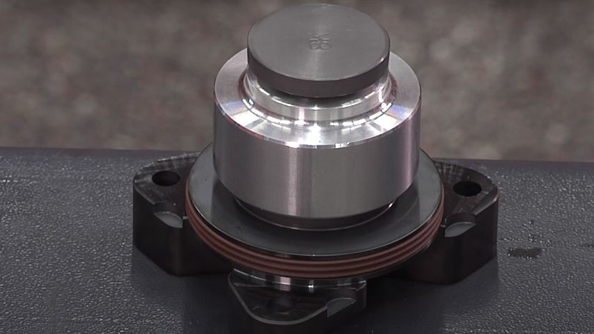 ims bearing